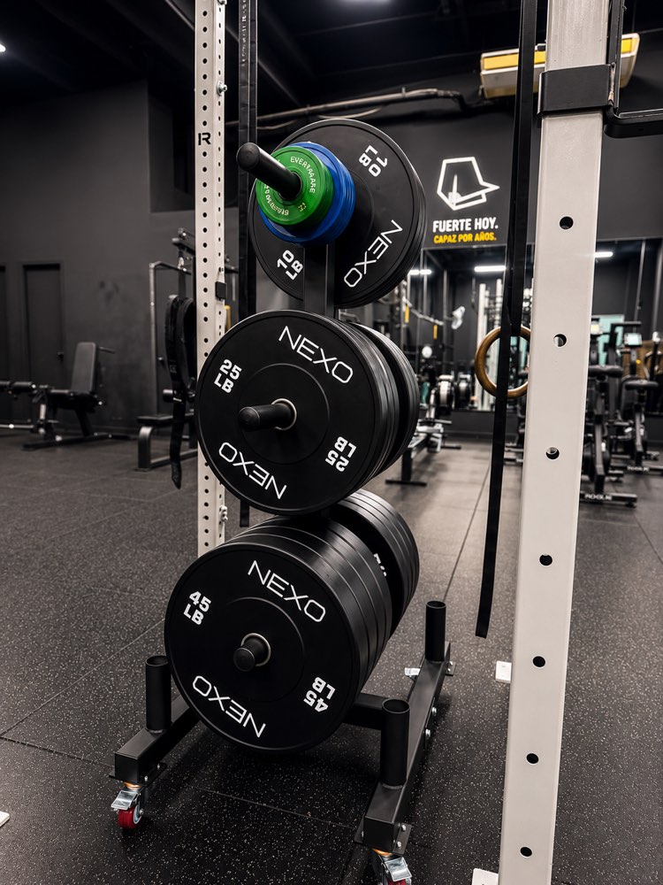 Discos NEXO ordenados en el gimnasio